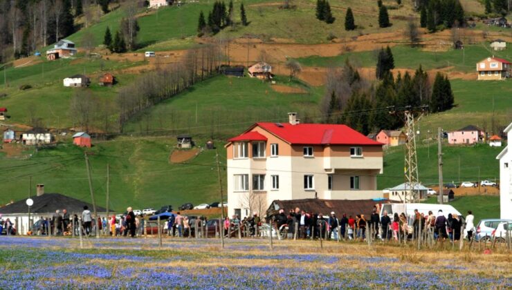 Trabzon’da, Kadıralak Yaylasının Doğal Güzelliği Korunmazsa Yok Olacak