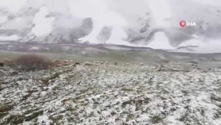Bayburt-Trabzon arasındaki yaylalarda kar yağışı