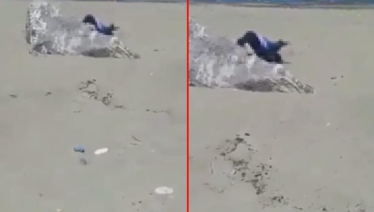 Giresun sahilde olay video! İki polis memuru görevden uzaklaştırıldı! Lise öğrencileri Giresun sahilde uygunsuz görüntülenmişlerdi