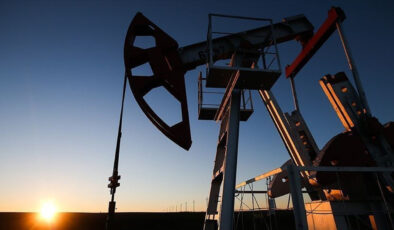Ham petrol ithalatı şubatta yüzde 46,9 arttı