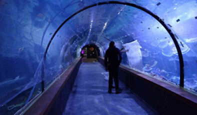 Tünel Akvaryum nerede? Dünyanın en büyük akvaryumu, Trabzon Tünel Akvaryum