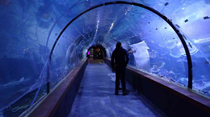 Tünel Akvaryum nerede? Dünyanın en büyük akvaryumu, Trabzon Tünel Akvaryum