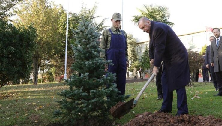 Erdoğan: Hedefimiz 81 ile 81 milyon m2 millet bahçesi