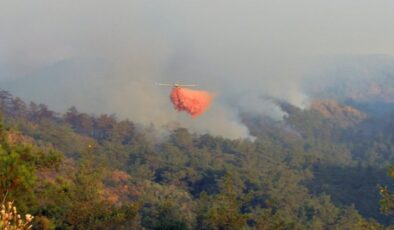 İçişleri Bakanlığı’ndan valiliklere orman yangınları nedeniyle uyarı