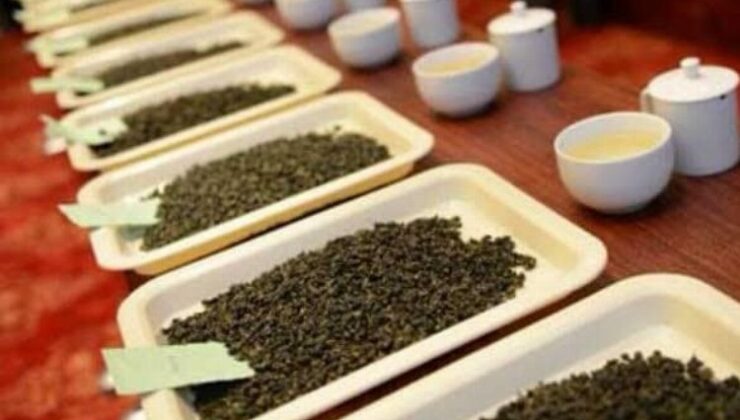 Rize’de çay üreticilerine ‘butik’ eğitim