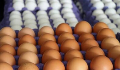 Yumurta depremi… Sektöre mercek
