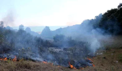 Samsun’da örtü yangını: 3 dönüm alan zarar gördü
