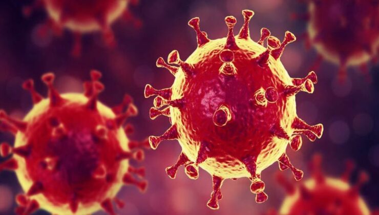 Akademisyenlerden dikkat çeken araştırma: Koronavirüste yeni belirti olabilir