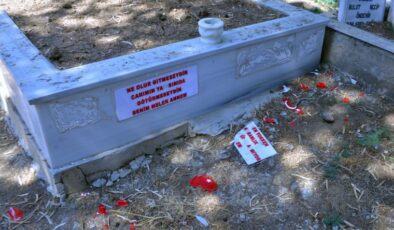 Aile mezarlığındaki Türk bayrağı motiflerini parçaladılar