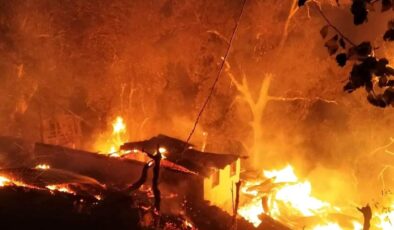 Artvin’de çıkan yangında 3 ev yandı, 14 büyükbaş hayvan telef oldu