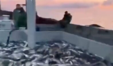 Karadeniz’de balık bereketi: Tonlarca palamut tuttular