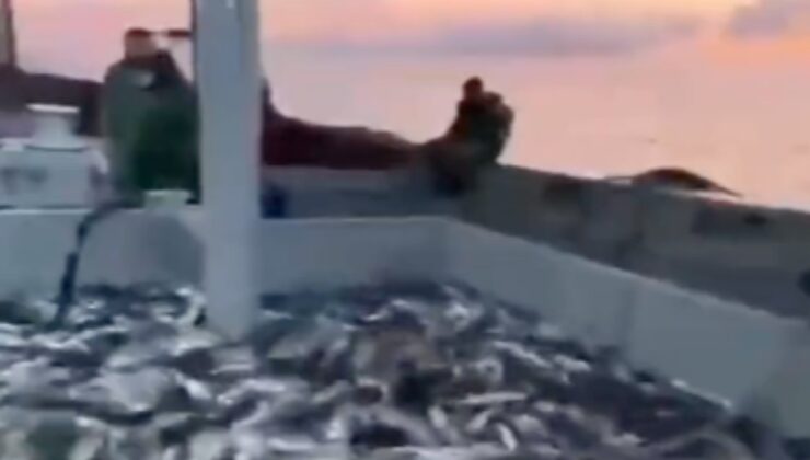 Karadeniz’de balık bereketi: Tonlarca palamut tuttular