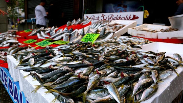 Ordu, Giresun ve Trabzon’da yeni sezonun balıkları tezgahlarda