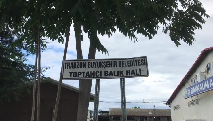 Trabzon Toptancı Balık Hali Esnafı, Elektrik Kesintisi Nedeniyle Mağdur Oldu