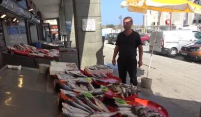 Trabzon’da yeni balık av sezonunun ilk günü palamutta beklenti gerçekleşmedi