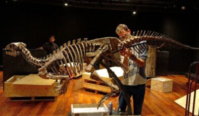 150 milyon yıllık dinozor fosili açık artırmaya çıkıyor