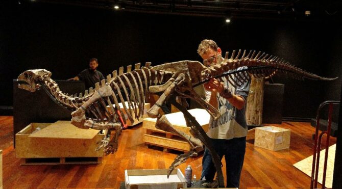 150 milyon yıllık dinozor fosili açık artırmaya çıkıyor