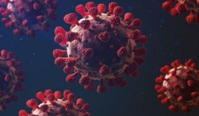 Araştırma: Tekrarlanan Covid-19 enfeksiyonları ‘organ yetmezliği ve ölümlere’ yol açabilir