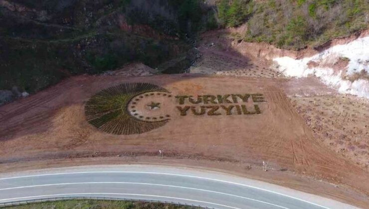 Artvin’de 36 bin fidanla ‘Türkiye Yüzyılı’ logosu işlendi