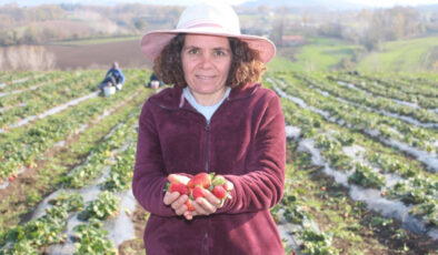 Şehirden köye dönen kadın girişimci tarıma yönelerek üretici oldu