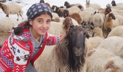 Şırnak’ta terörden temizlenen bölgenin küçük çobanı