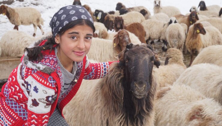 Şırnak’ta terörden temizlenen bölgenin küçük çobanı