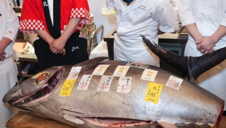 212 kilogramlık balığı 5 milyon TL’ye sattılar