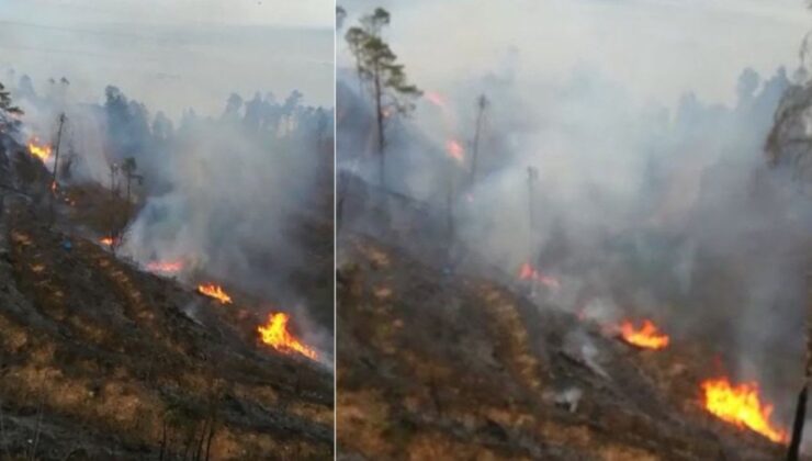 Çamburnu Tabiat Parkı’nda örtü yangını