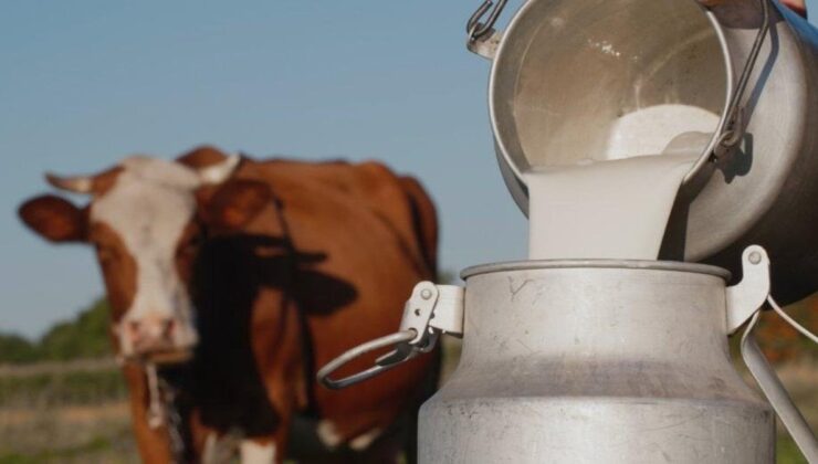 Ocak ayında süt üretimi arttı, beyaz et üretimi azaldı