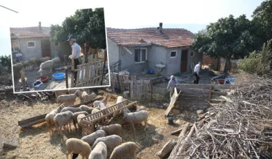 Alevlerin arasında kalan köyünde sabaha kadar koyunlarının başından ayrılmadı