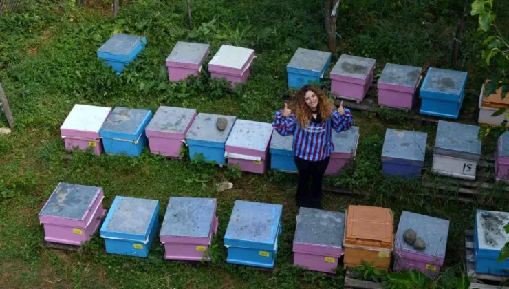 Artvin’de genç kadın arıcı 50 kovan arıya ulaştı
