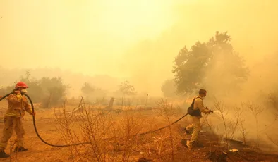 Çanakkale’de büyük orman yangını: 9 yerleşim yeri boşaltıldı