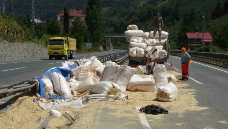 Trabzon’da saman yüklü kamyon devrildi, sürücü yaralandı