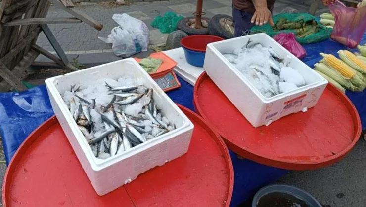 Balık fiyatları düşüşe geçti