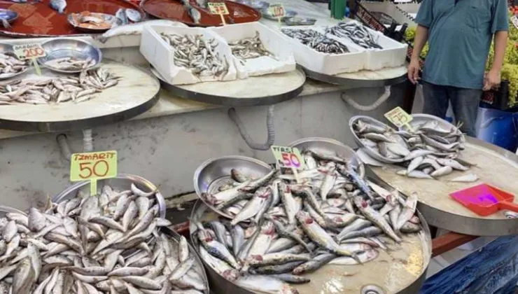 Balık fiyatları el yaktı: Hamsinin fiyatı üç hanelere çıktı