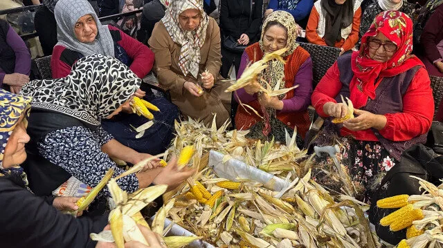 Bartın’da 200 yıllık gelenek: 4 saat boyunca topluca mısır soydular