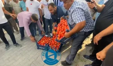 Çiftçiler domatesleri döküp Erdoğan’a seslendi: Boykota devam