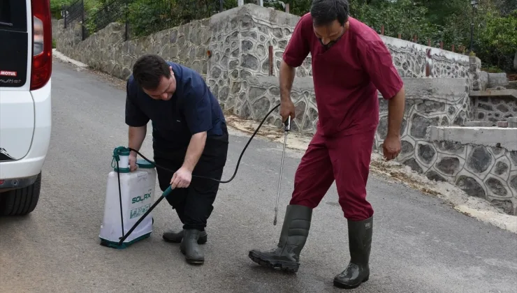 Trabzon’da Büyükbaş Hayvanlara Şap Aşılama Programı Başlatıldı