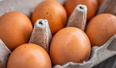 Yumurta üreticileri, Rekabet Kurulu’nda sözlü savunma yapacak