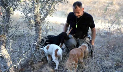 Kilosu 3 bin avro ve sadece özel eğitimli köpekler bulabiliyor
