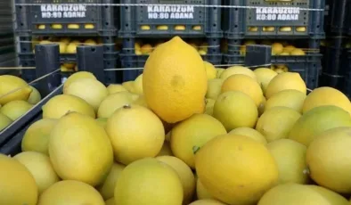 Limonda üretici-market fiyatı farkı 4,5 kat