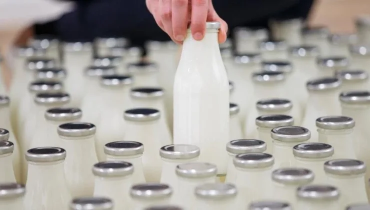 Süt üretimi ağustosta yüzde 8 azaldı
