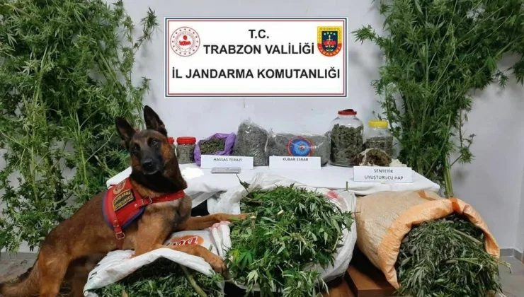 Trabzon’da 41 kilogram uyuşturucu ele geçirildi: 5 gözaltı