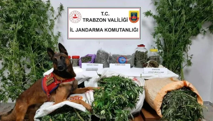 Trabzon’da büyük uyuşturucu operasyonu: 41 kilogram uyuşturucu ele geçirildi