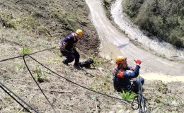 Giresun’da uçurumdan düşen köpek AFAD ekipleri tarafından kurtarıldı