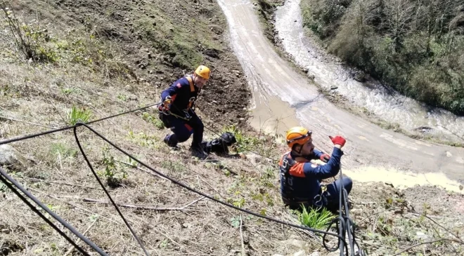 Giresun’da uçurumdan düşen köpek AFAD ekipleri tarafından kurtarıldı