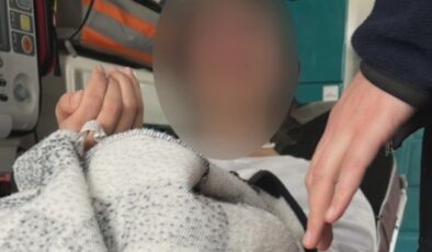 Ankara’da 15 yaşındaki çocuğa sokak köpekleri saldırdı