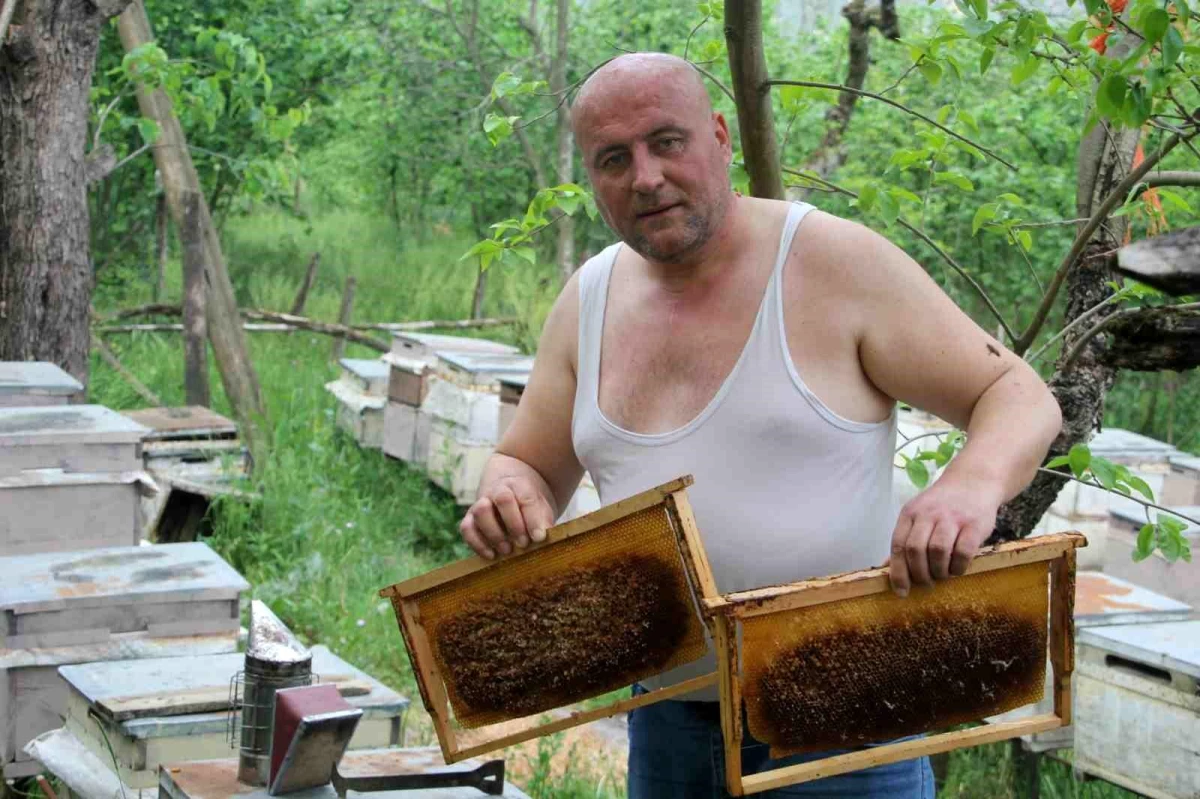 Arıcının Tehlikeli Oyunu: Arılara Meydan Okuyor