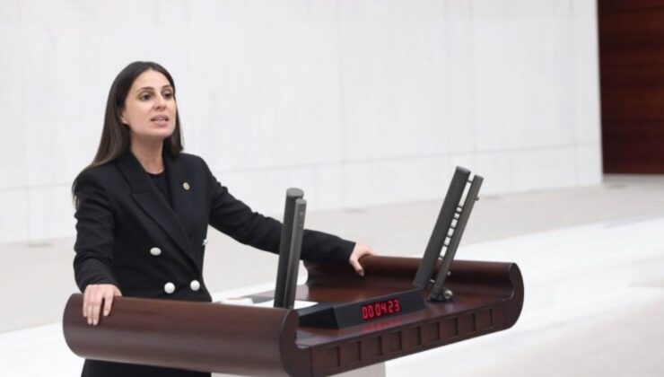 CHP’li Özcan ‘Çocuk işçilik önergesini’ Meclis’e sundu