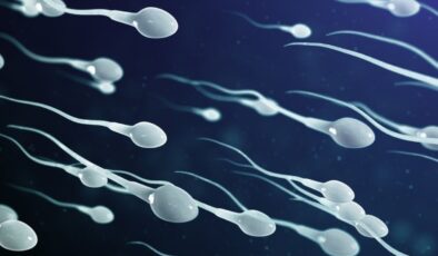 Dünyanın en büyük sperm bankası, bir ülkede daha şube açtı
